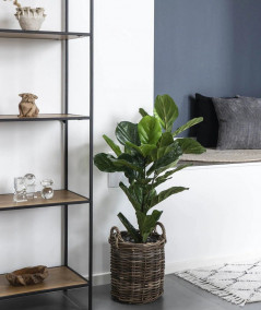 Violinfigen - Kunstig violinfigen plante 100 cm
