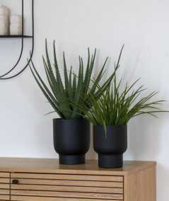 Fulda planteskjuler