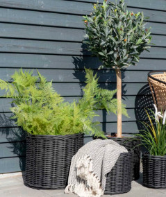 Cort Plaid - Plaid i mørkegråt og hvidt bomuld design C