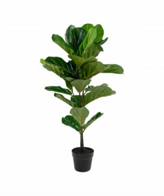 Violinfigen - Kunstig violinfigen plante 100 cm