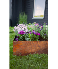 Odla plantekasse i cortenstål med blomster