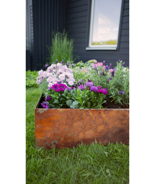 Odla plantekasse med planter