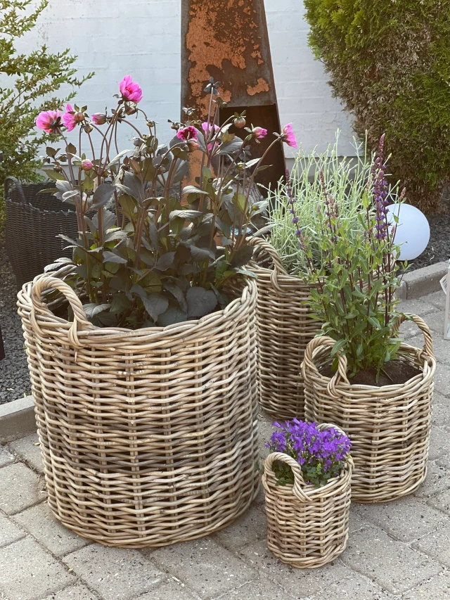 4 flotte rattan kurve